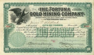 Fortuna Gold Mining Co. - Stock Certificate